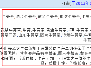 部分企业网站常见被降权的5个原因及解决办法（一）